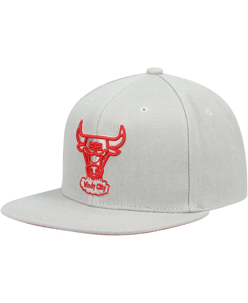 Men's Mitchell & Ness Gray Chicago Bulls Hardwood Classics Tonal Snapback Hat