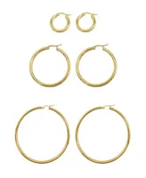 Adornia Hoop Earring Set