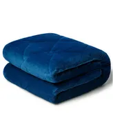 Dream Theory Butter Velvet 15lb Weighted Throw, 48" x 72"