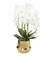 Orchid Plant in Round Shiny Vase - Gold