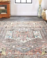 Feizy Percy R39AJ 4' x 6' Area Rug