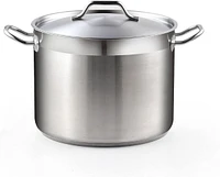 20 Quart Professional Grade Stainless Steel Stock Pot with Lid, Silver