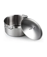 Cooks Standard 9 Quart Professional Stainless Steel Stockpots with lid, Silver