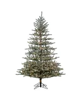 7' Flocked Scotch Pine with 450 Incandescent Lights