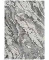 Alta Shag Asg2301 Area Rug