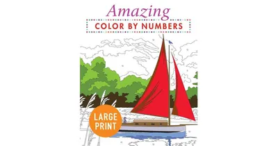 Amazing Color by Numbers Large Print by Arcturus Publishing