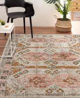 Lr Home Heirloom HRL81475 5'3" x 7'10" Outdoor Area Rug