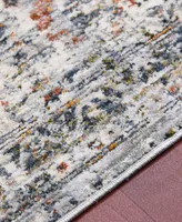 Amer Rugs Vermont Chelsea 2'7" x 8' Runner Area Rug