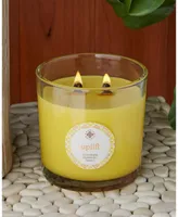 Seeking Balance 2 Wick Uplift Lemon Bergamot Spa Jar Candle, 12 oz