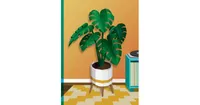Paint by Sticker: Plants and Flowers: Create 12 Stunning Images One Sticker at a Time! by Workman Publishing