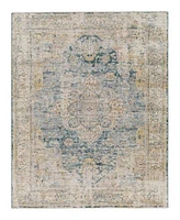 Livabliss Aspendos Aps 2304 Area Rugs