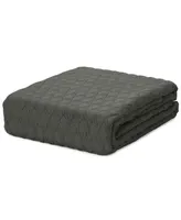 Lauren Ralph Classic 100% Cotton Blanket