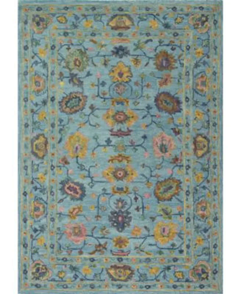 Bb Rugs Taron Tar131 Area Rug