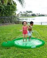 PoolCandy Little Tikes Timmy the Turtle Pool Tube