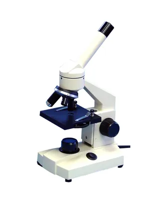 Supertek Basic Compound Microscope, Inclined with Illumination