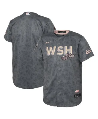 Toddler Boys and Girls Nike Gray Washington Nationals City Connect Replica Jersey