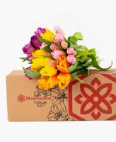 BloomsyBox A Tulip For Everyone Fresh Flower Bouquet