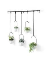 Umbra Triflora Hanging Planter, Set of 5