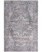 Nicole Curtis Series 1 Sr101 Area Rug