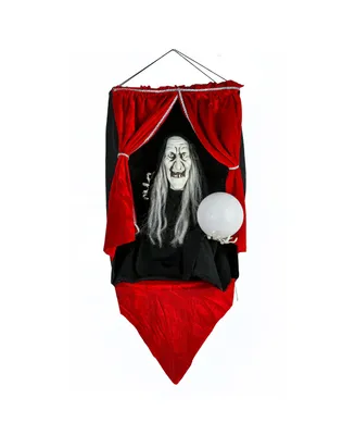 National Tree Company 28" Animated Halloween Sound Activated Fortune Teller