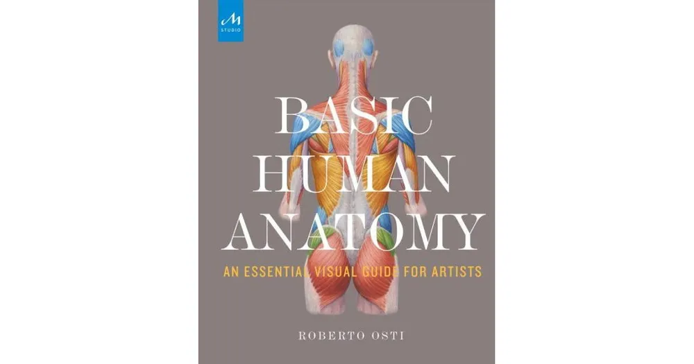 Basic Human Anatomy