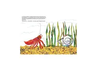 Una casa para Cangrejo Ermitano (A House for Hermit Crab) by Eric Carle