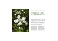Northeast Medicinal Plants: Identify, Harvest, and Use 111 Wild Herbs for Health and Wellness by Liz Neves