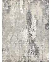 Exquisite Rugs Cosmo ER4345 8' x 10' Area Rug