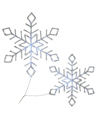 National Tree Company Diamond Tip Ice Crystal Snowflake Pair with Led Lights