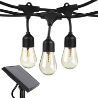 Ambience Pro 27 ft. Outdoor Solar Led 1-Watt String Lights with Warm White Hue