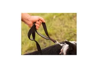 Leashboss Three Handle Dog Leash