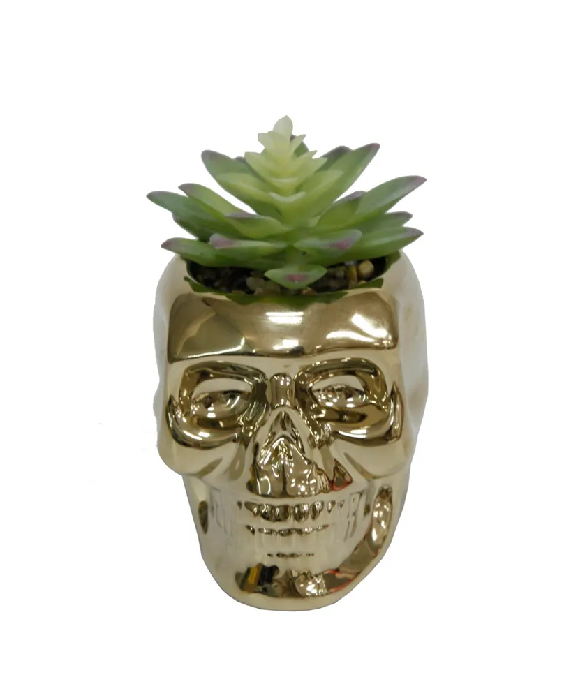 Flora Bunda Met Skull Succulent, 5.13" - Gold