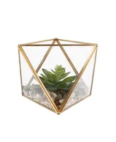 Flora Bunda Glass Square Open Top Terrarium with Faux Succulents Garden, 7"