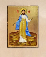 Designocracy Jesus Icon