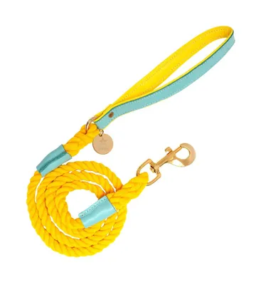 PoisePup Pet Dog 5ft Long Leash