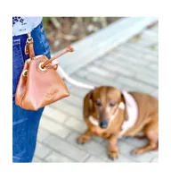 Pet Dog Treat Bag