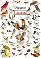 Masterpieces Audubon - Songbirds 1000 Piece Jigsaw Puzzle for Adults