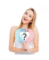 Baby Gender Reveal - Team Boy or Girl Party Photo Booth Props Kit - 20 Count