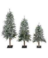 Northlight 5' Flocked Alpine Unlit Artificial Christmas Trees, Set of 3