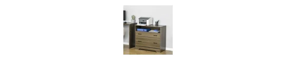 Vinsetto Office File Cabinet Storage Organizer W/ 2 Drawers & Shelf, Grey