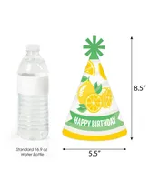 So Fresh - Lemon - Cone Happy Birthday Party Hats Standard Size 8 Count
