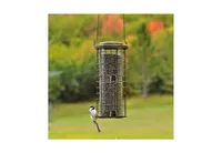 Perky-Pet 114 Squirrel Stumper Wild Bird Feeder 6.63W x 5.75D Inches