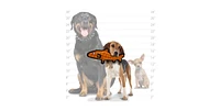 Tuffy Ocean Creature Trout Orange, Dog Toy