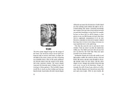 Dragon Wisdom: 43-Card Oracle Deck and Book by Christine Arana Fader