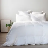 Bokser Home All Season Down Alternative Machine Washable Duvet Comforter Insert