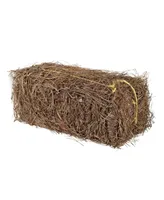 Garden Elements Long Leaf Pine Straw Bale, 12.5 Pounds