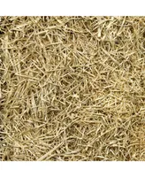 Rhino Seed Landscaping Supply 10LB All Purpose Straw Bale