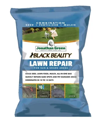 Jonathan Green Black Beauty Lawn Repair for Sun & Shade, 4.5lb bag