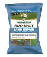 Jonathan Green Black Beauty Lawn Repair for Sun & Shade, 4.5lb bag