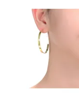 Rachel Glauber 14K Gold Plated Open Hoop Earrings